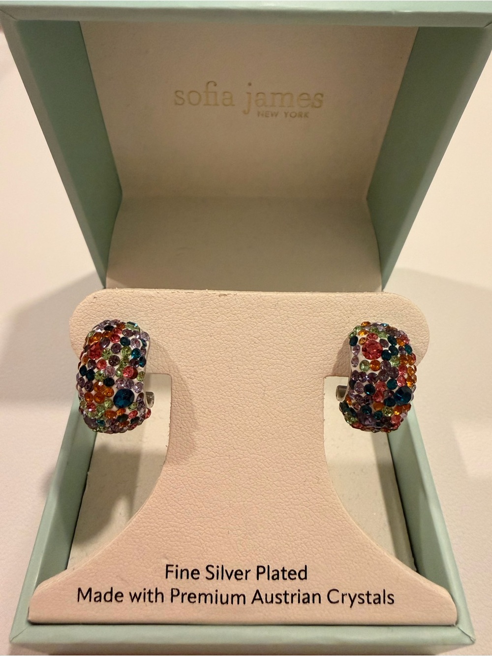 Silver Plated Multicolor Crystal Hoop Earrings